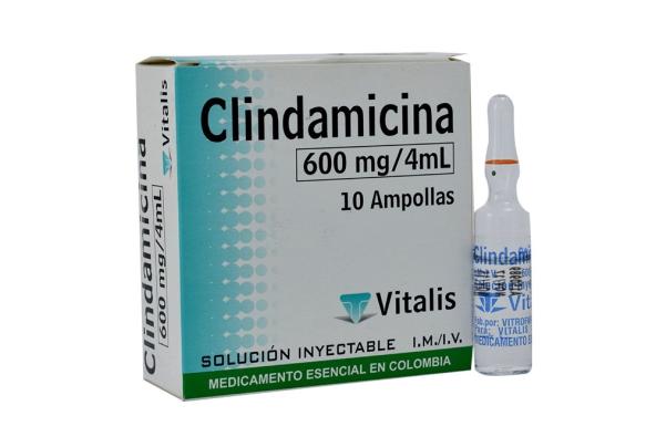 CLINDAMICINA 600 MG/4 ML 10 AMPOLLAS VT